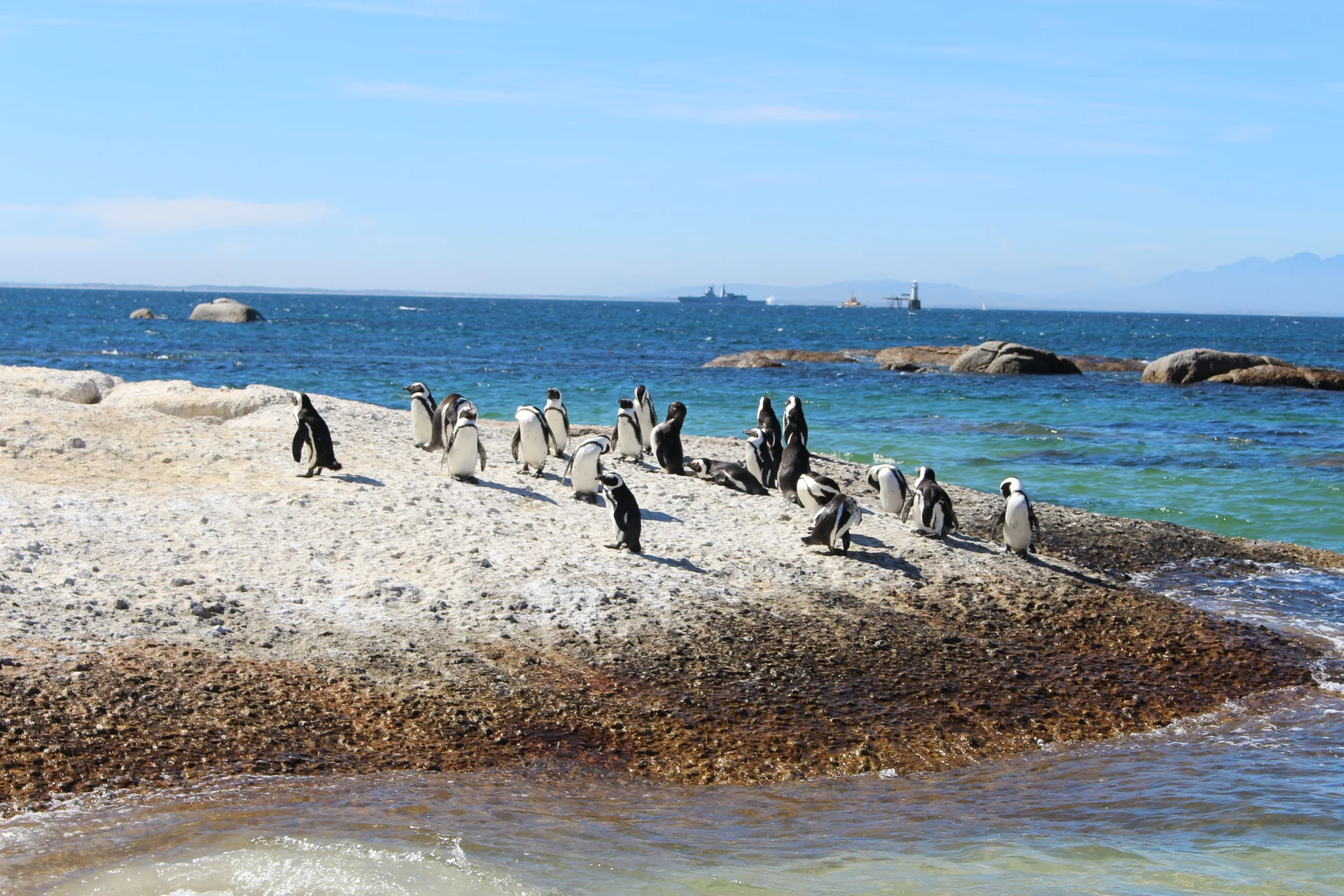 Willis Walkway connecting path between Foxy Beach and Boulders Beach